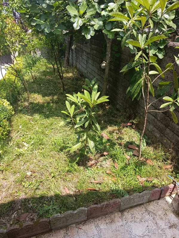 زمین با سند تک برگ کاربری مسکونی