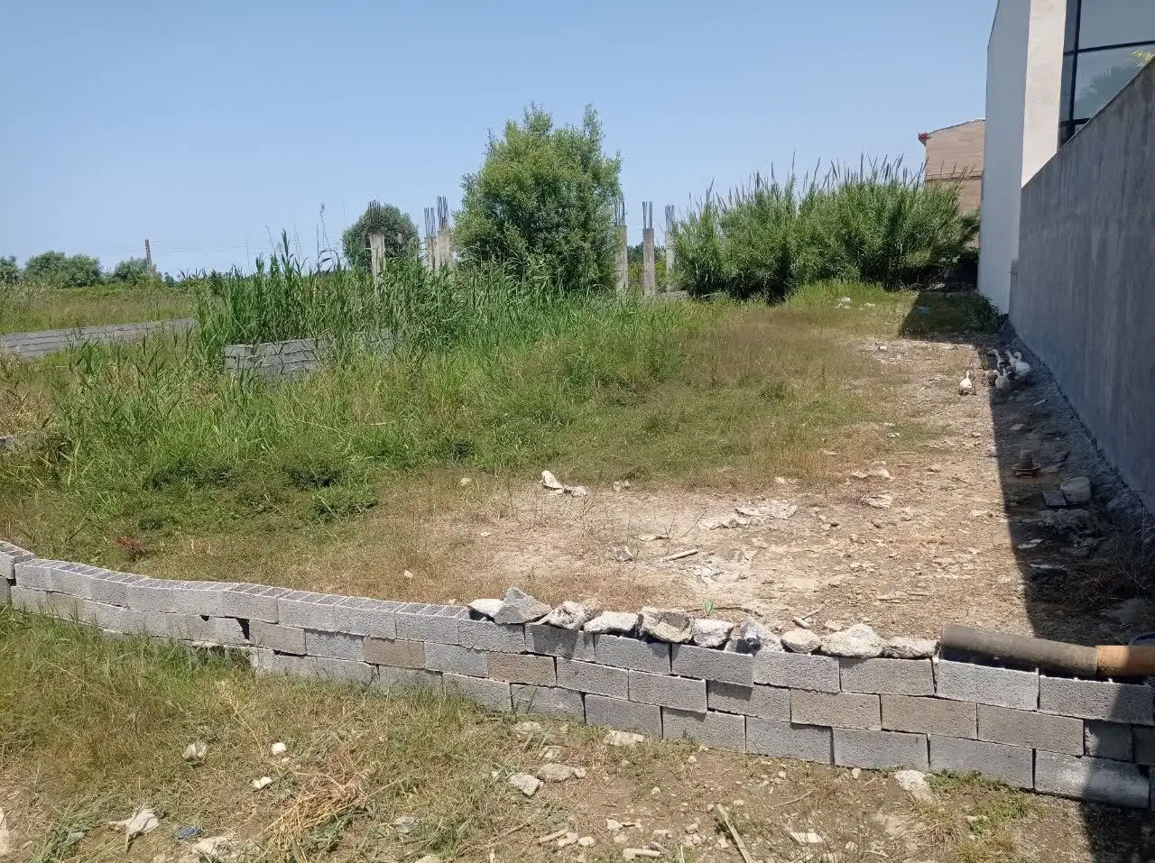 زمین ساحلی مسکونی ۵۰۰متری سنددار بیشه کلا