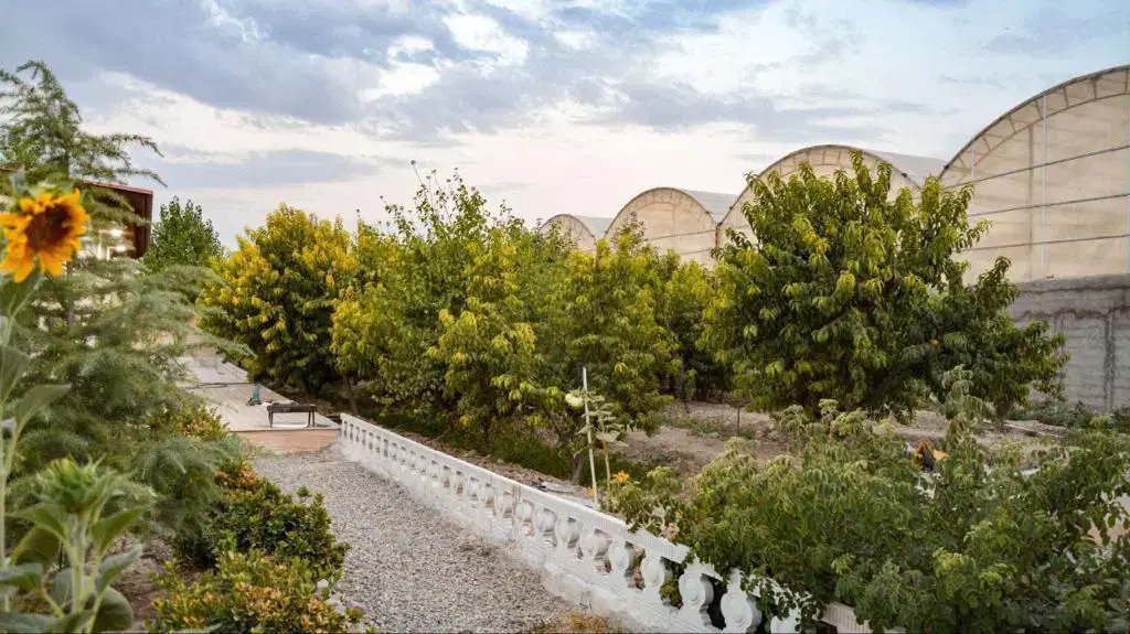 باغ_باغچه_باغ شهریار_زمین_باغ منجیل آباد