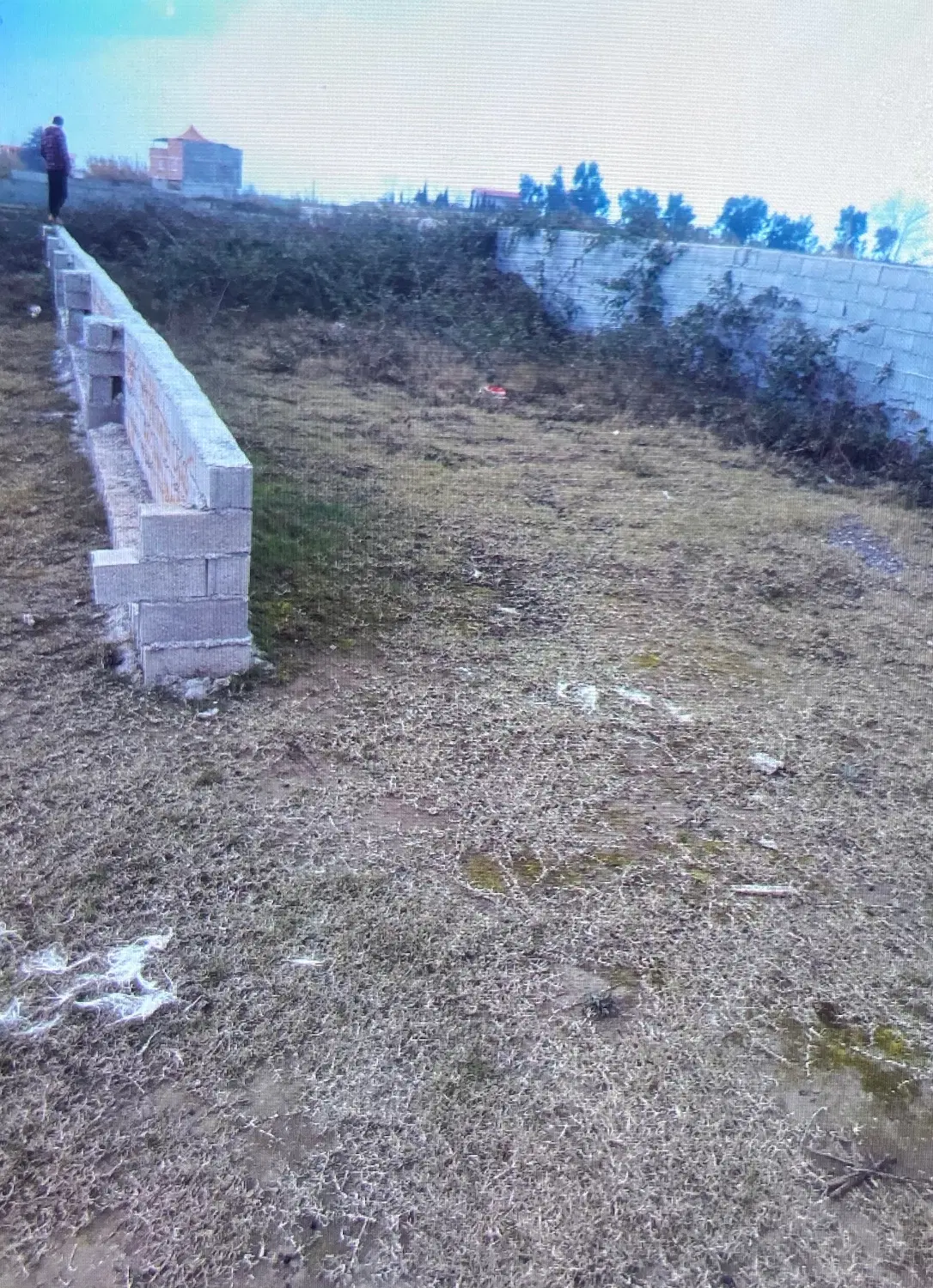 زمین ساحلی مسکونی