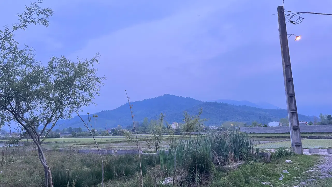 ۱۰۰۰مترشالی سنتی خشک داخل طرح هادی قلعه رودخان