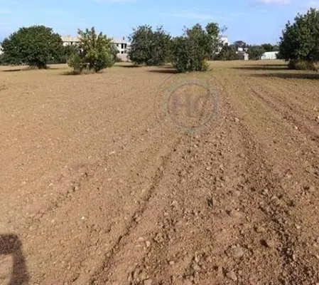 فروش زمین تنگک