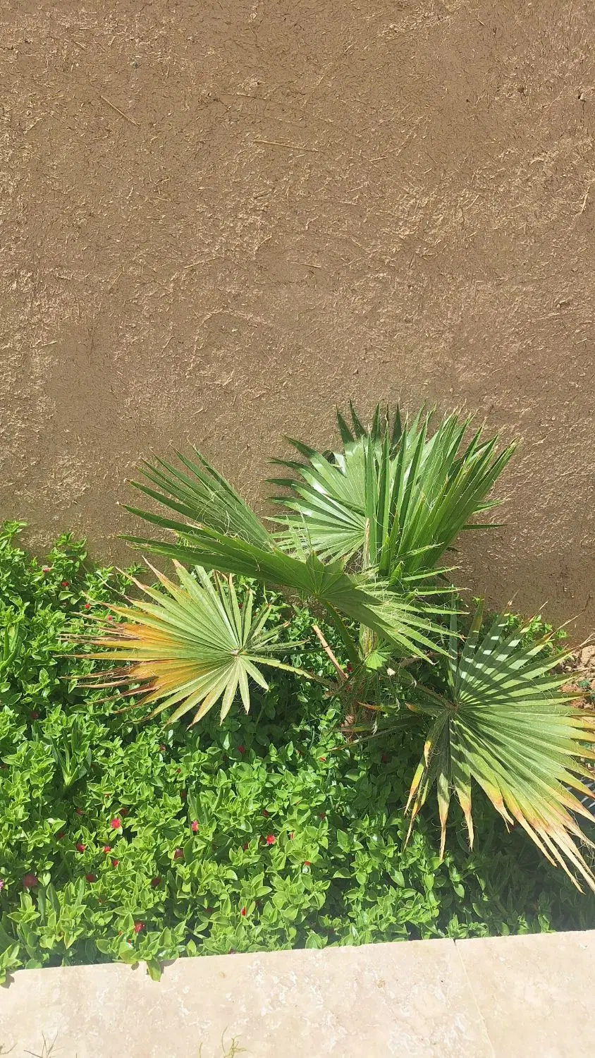 خونه باغ