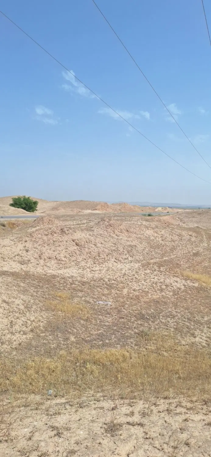 کشت یونجه شراکتی