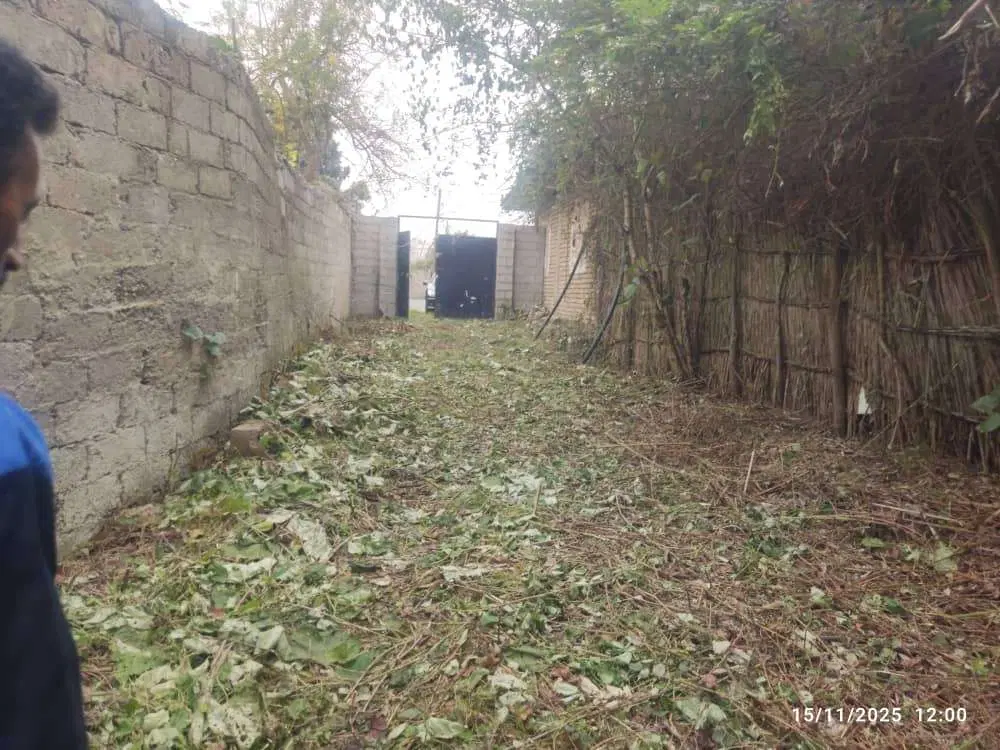 فروش سه قطعه زمین ( تک و مجزا)با  کوچه اختصاصی