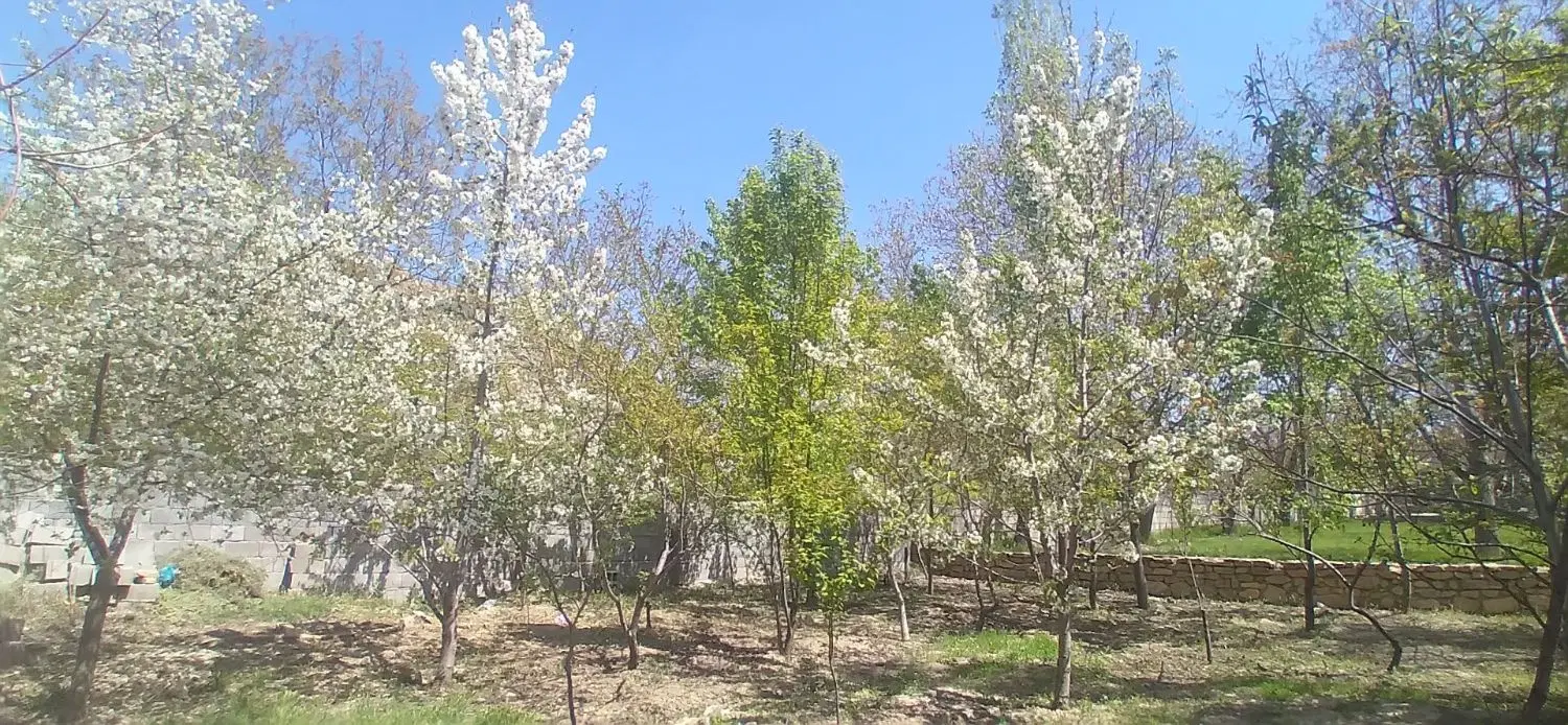 یک قطعه باغ ۴۰۰ متری و ۶۰۰ متر