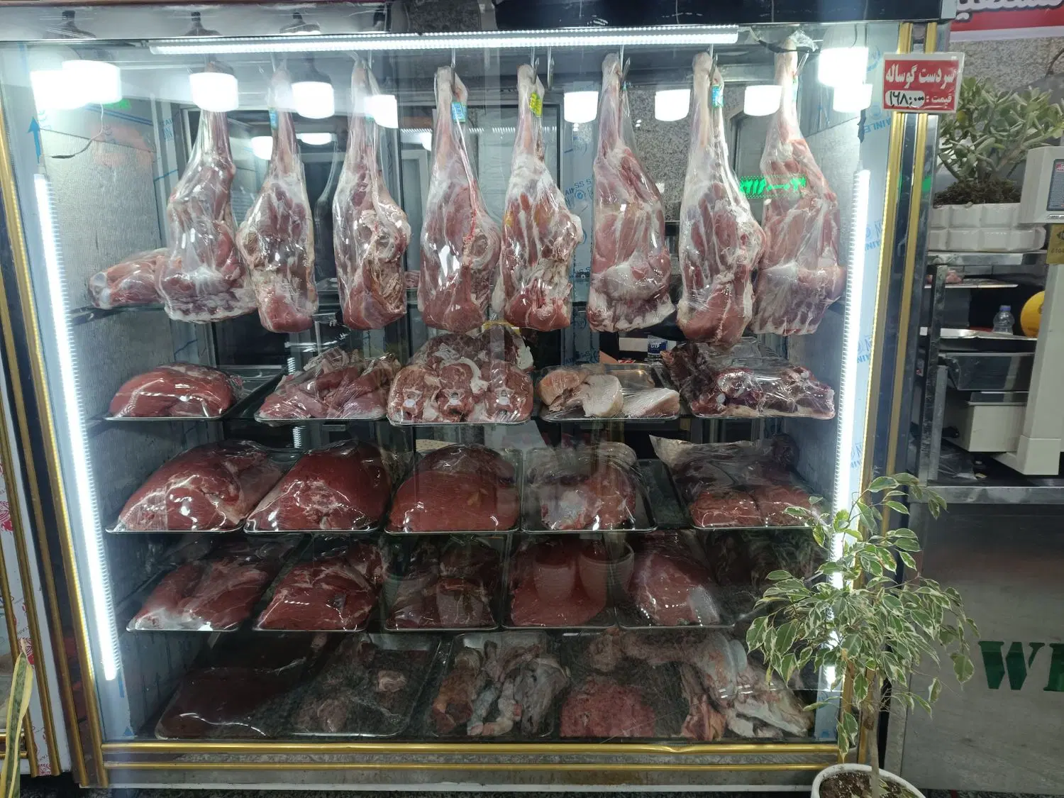اجاره مغازه سمت قصابی
