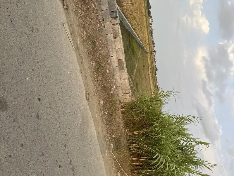 فروش ۱۱۰۰متر زمین