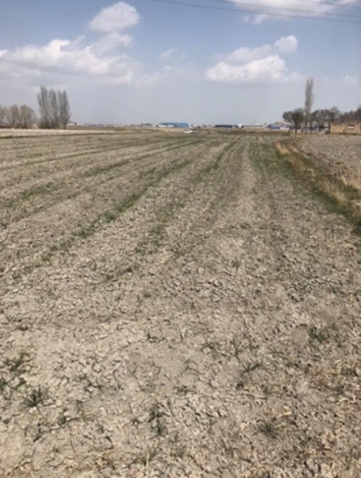 زمین کشاورزی