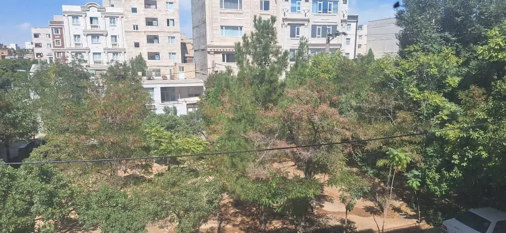 مجتمع اساتید بلوار گلها