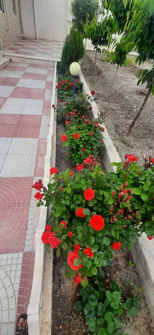 ویلای آماده استثنائی در سیس