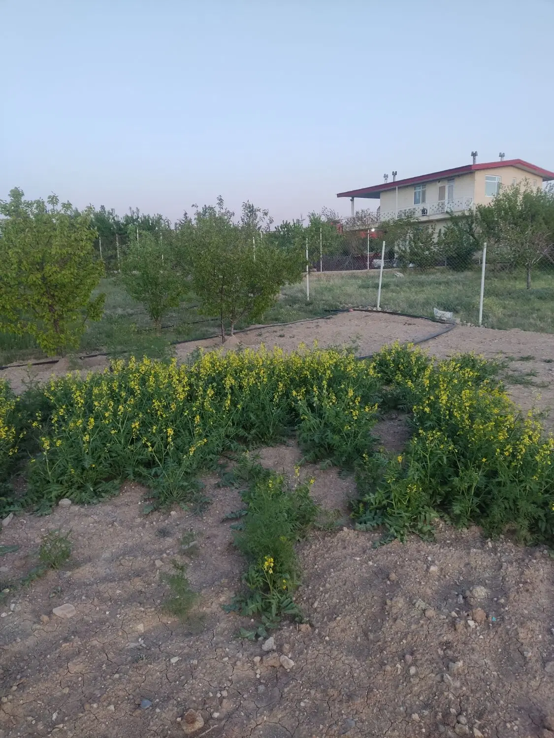باغشهر دهکده بهشت ایرانیان