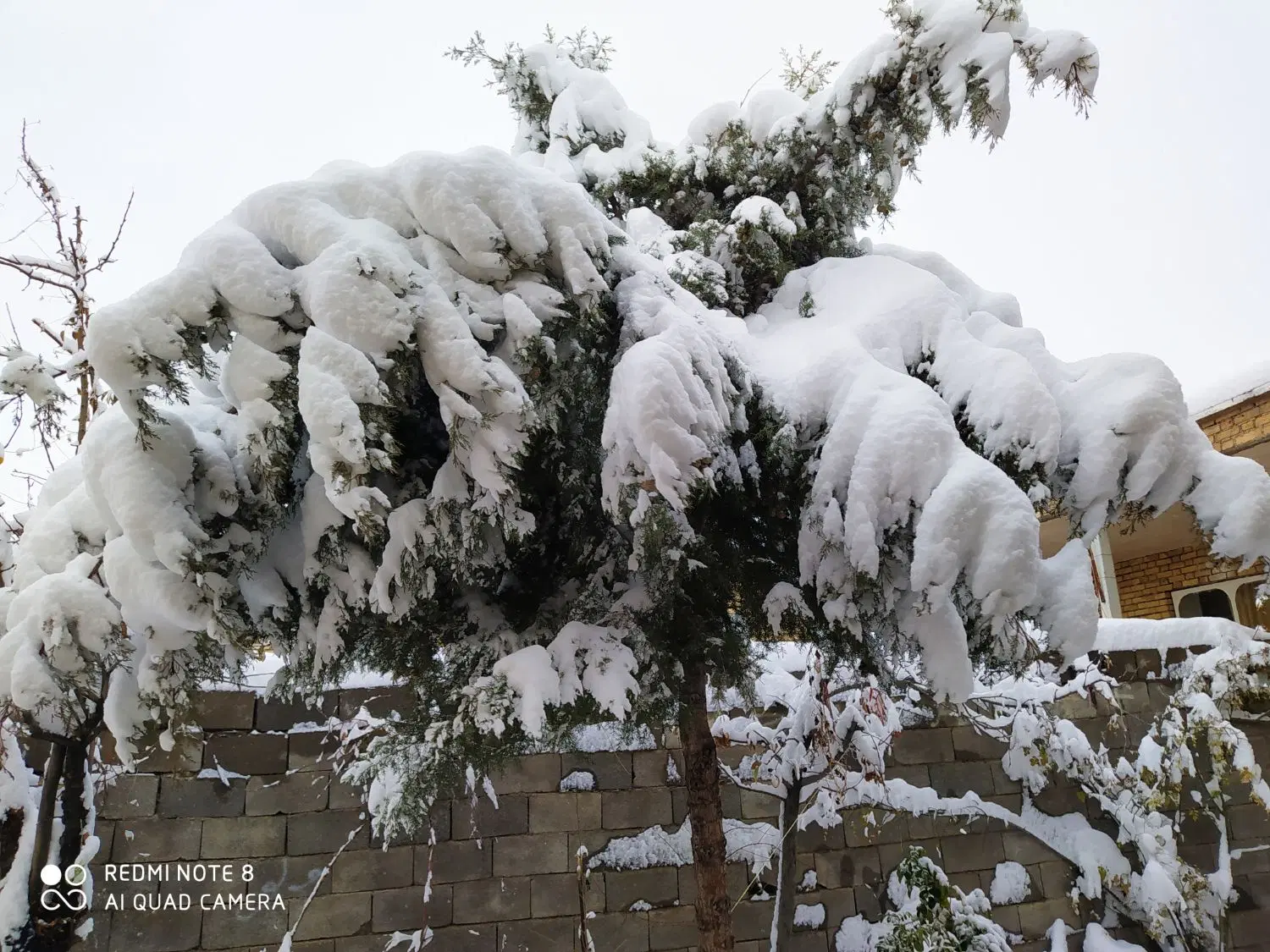 خانه اجاره ای