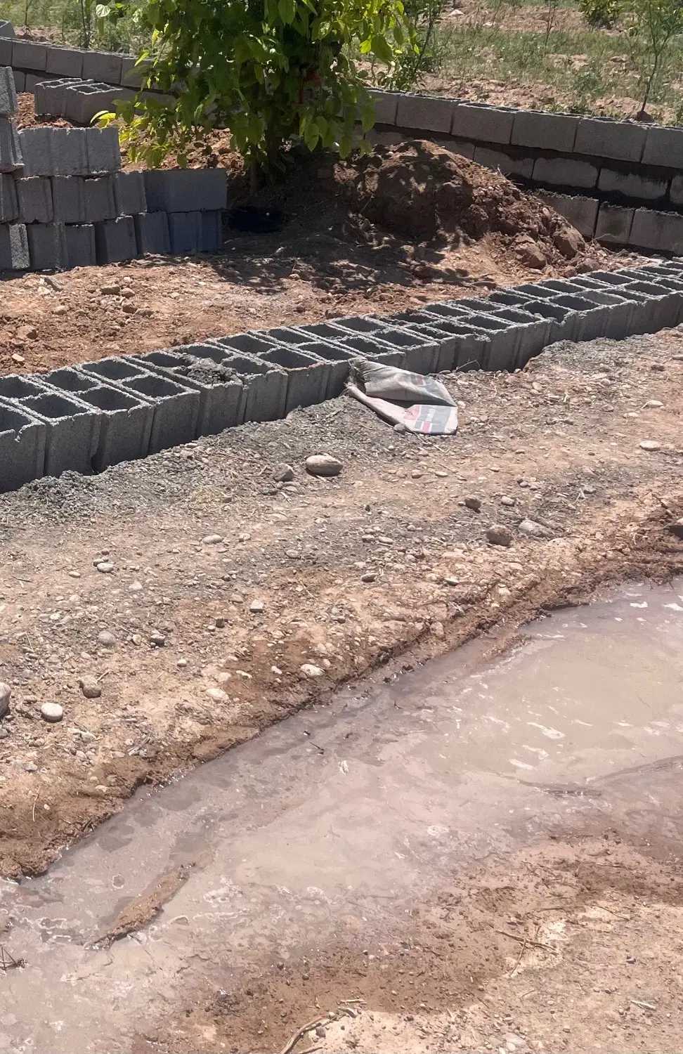 زمین باغ فروش فوری چم گلک