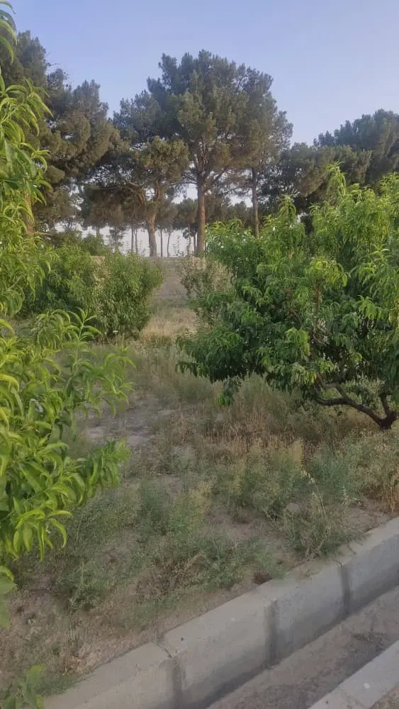 باغ 1500m