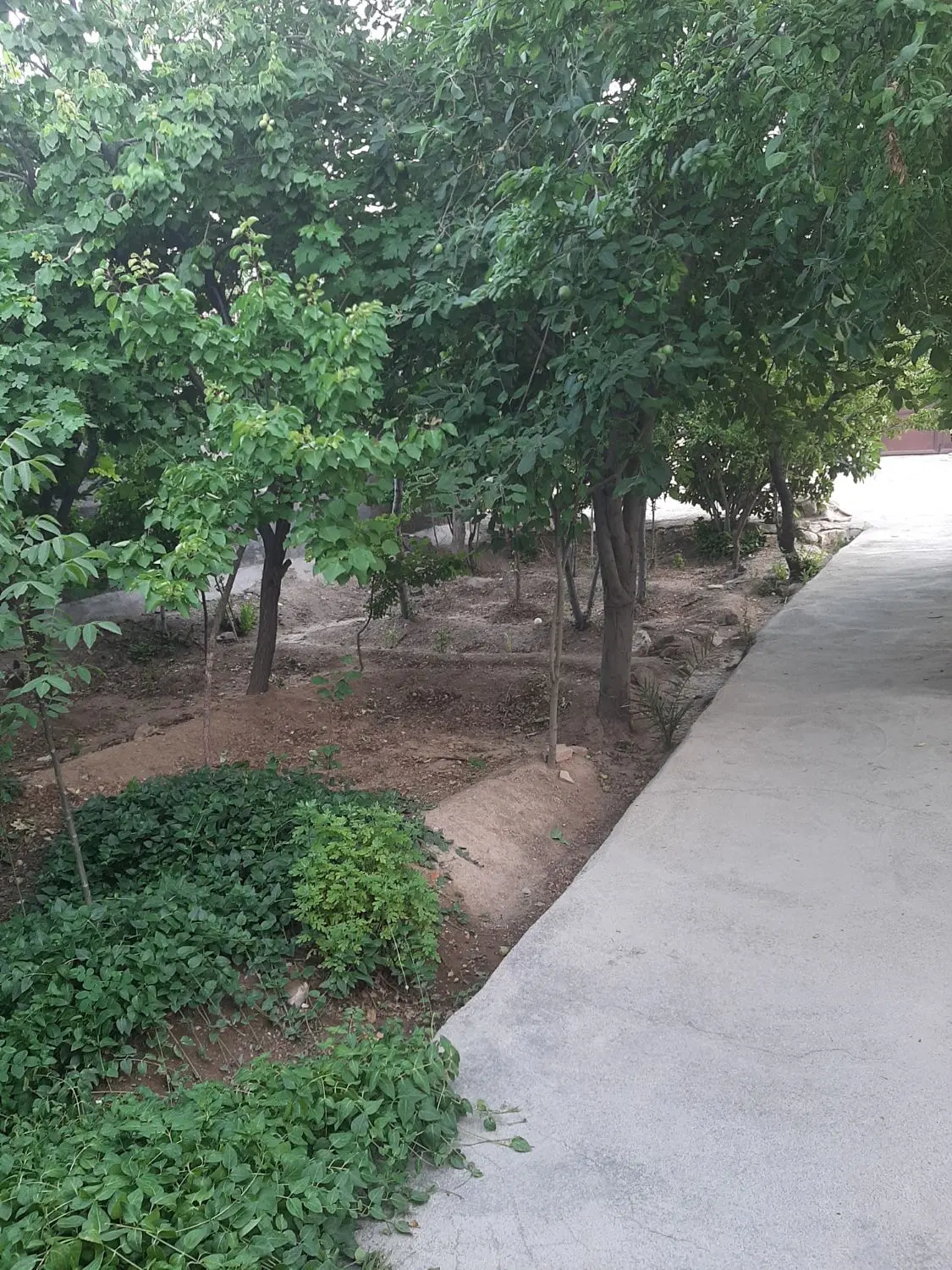 خونه ویلای  یک واحد مستقل روستای نخچیروان( رایگان)