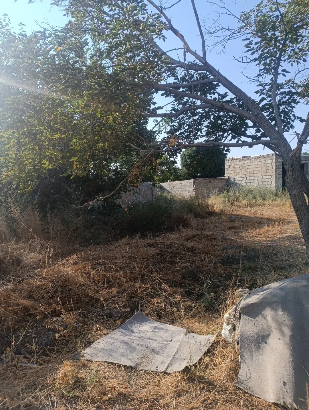 زمین300متر طلاتپه