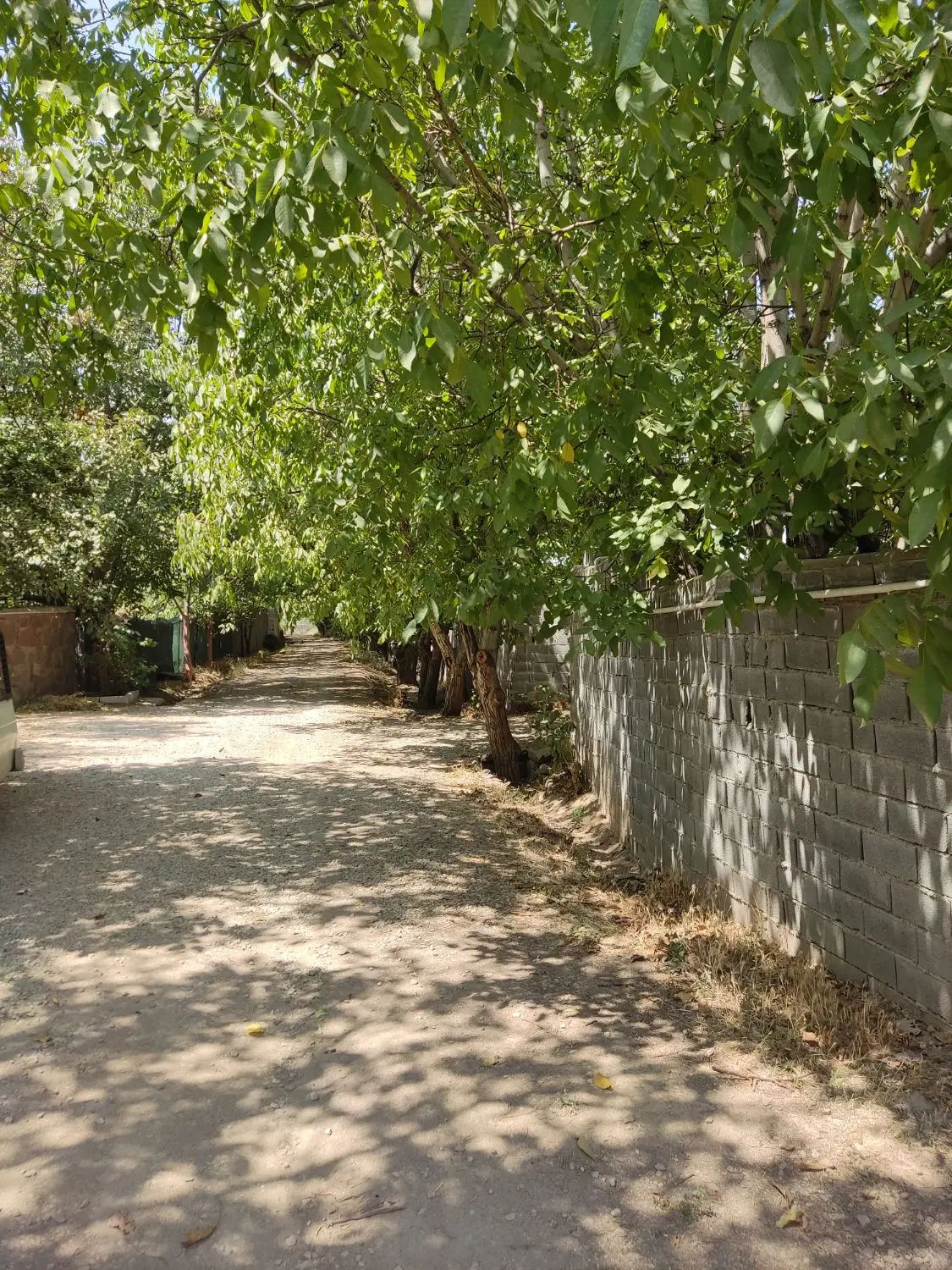 آپارتمان