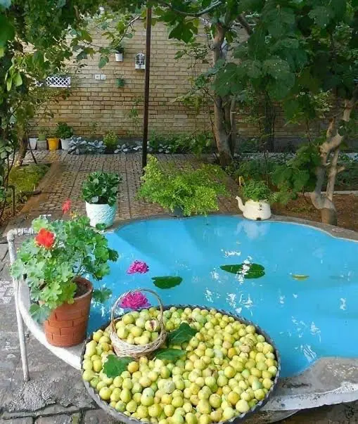 منزل ویلایی دربست امام خمینی