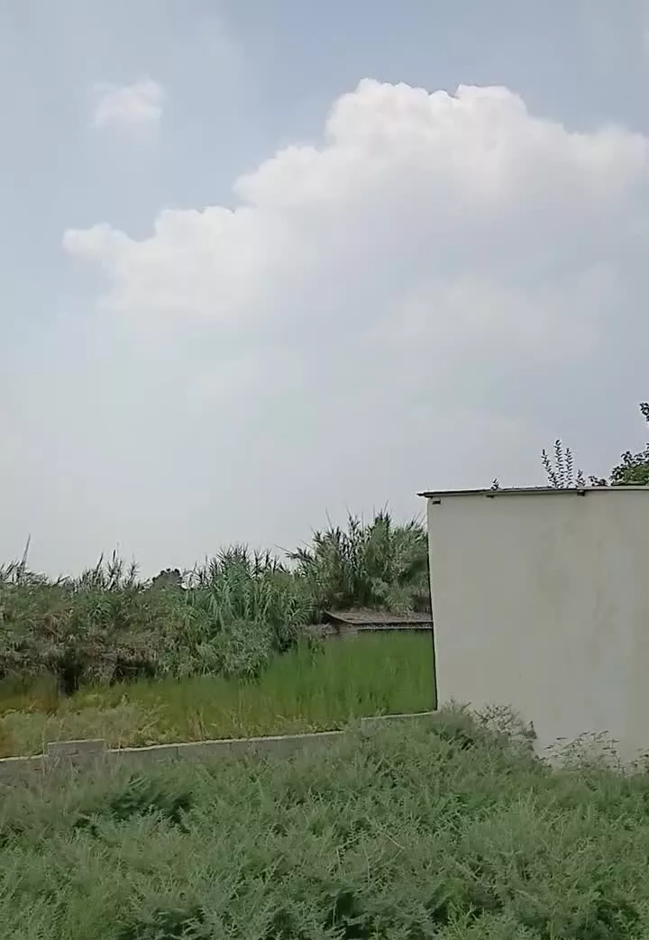۳۳۷ متر زمین با سند تک برگ در تاتار علیا