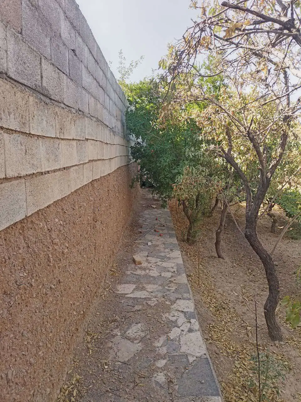 باغ ، باغچه