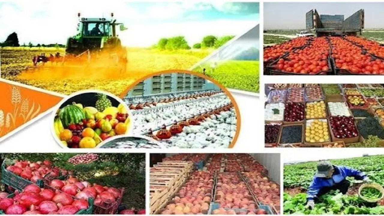 فروش زمین 38000 متری با کاربری صنایع تبدیلی