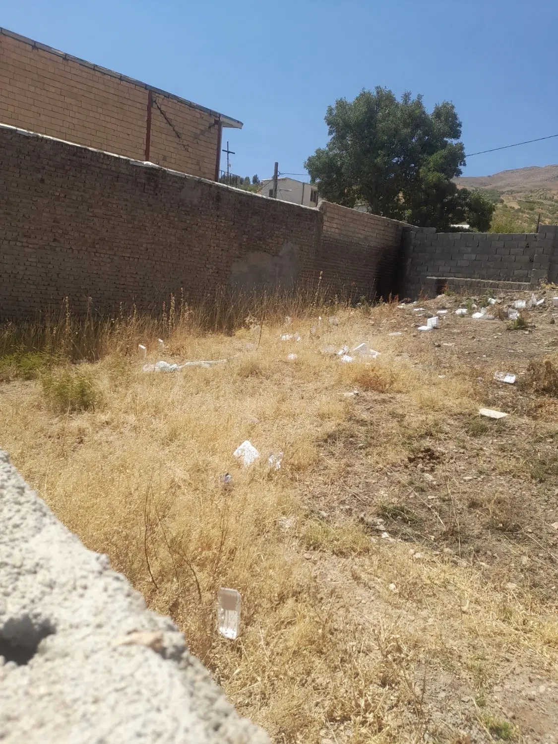زمین