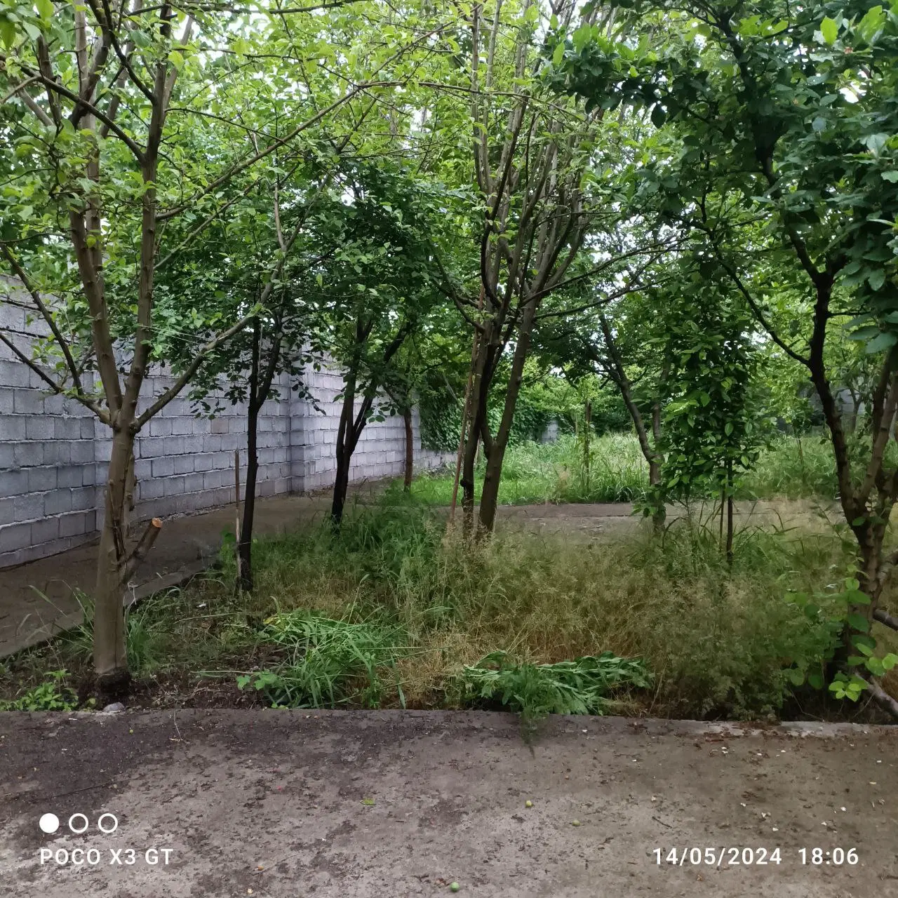 فروش باغچه سنددار