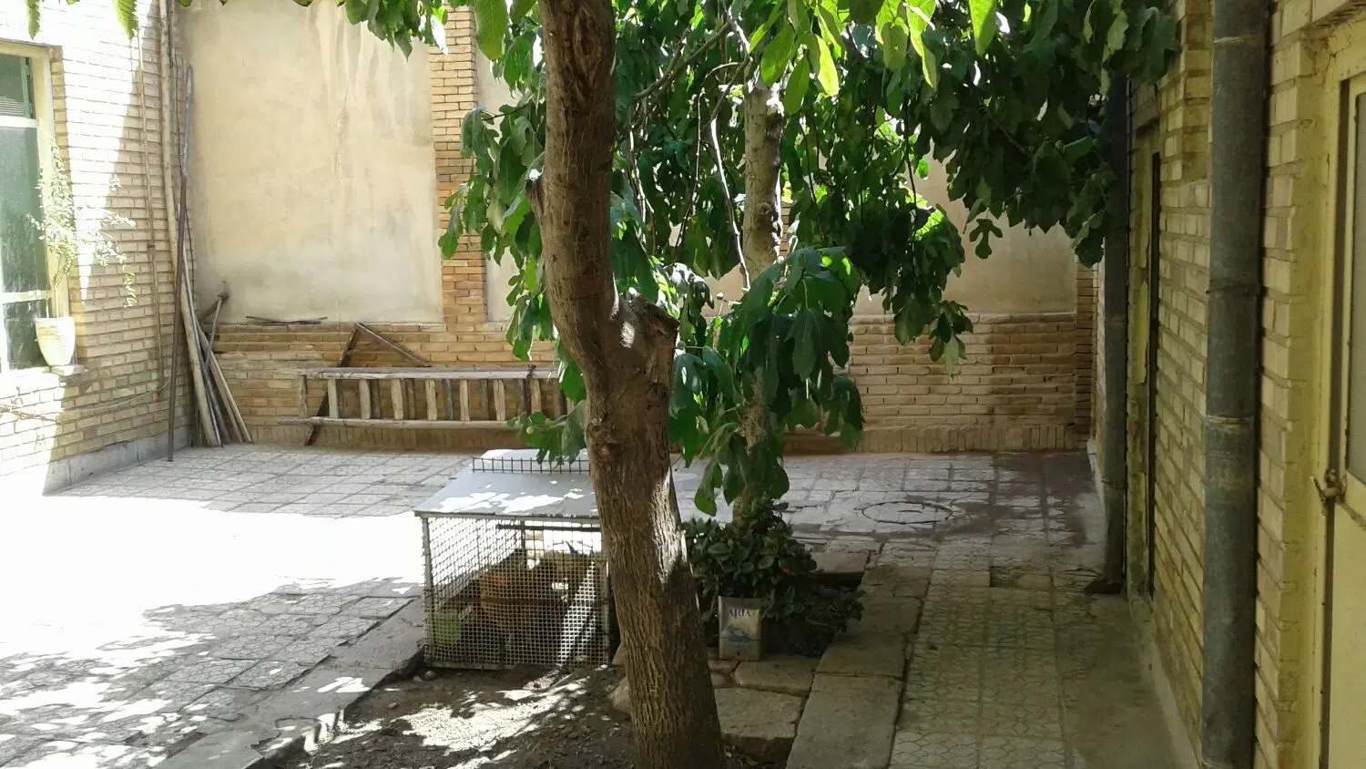 رهن اجاره و فروش.راسته کوچه .فلسطین.کوچه کاربالا