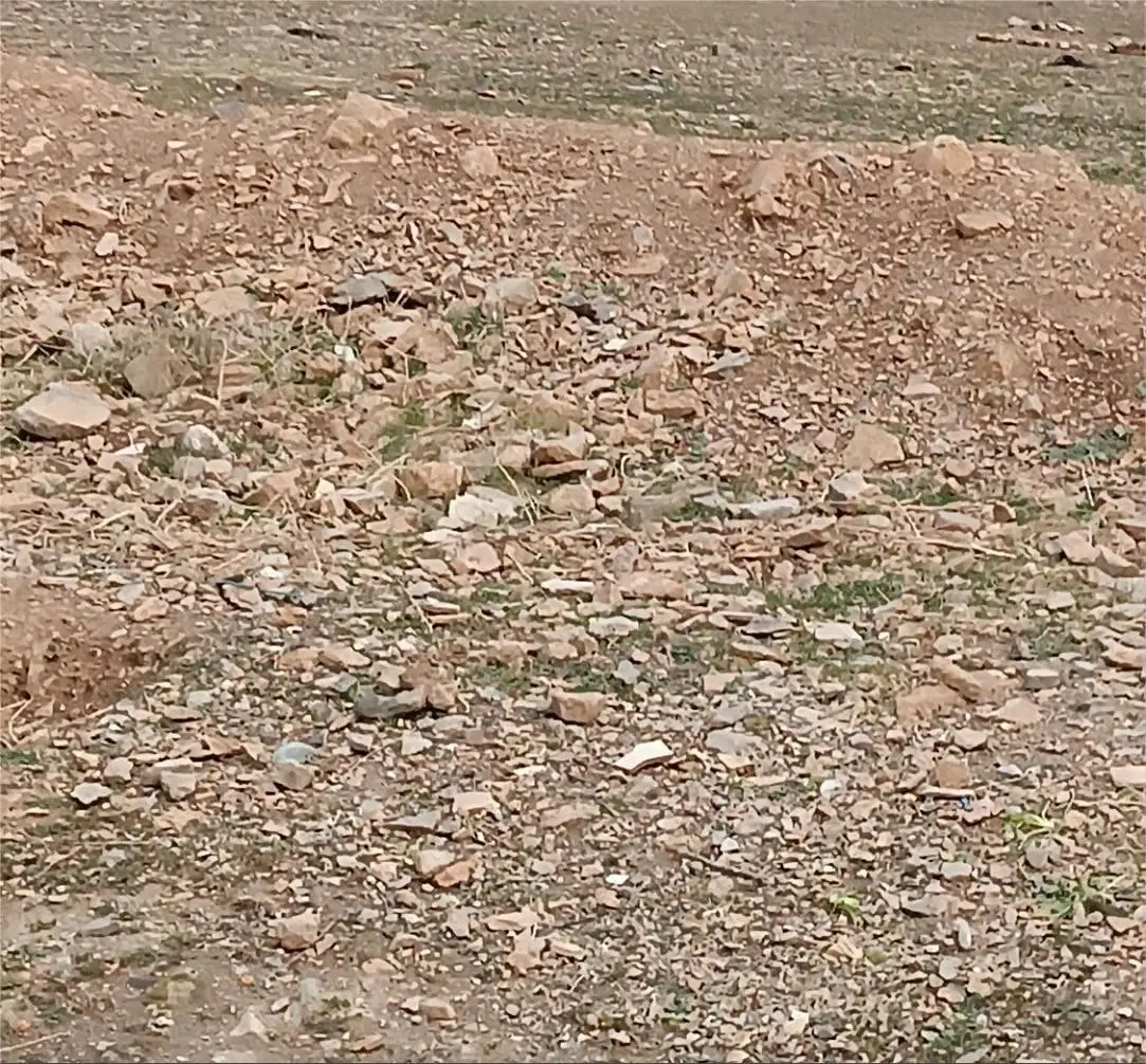 زمین مسکونی