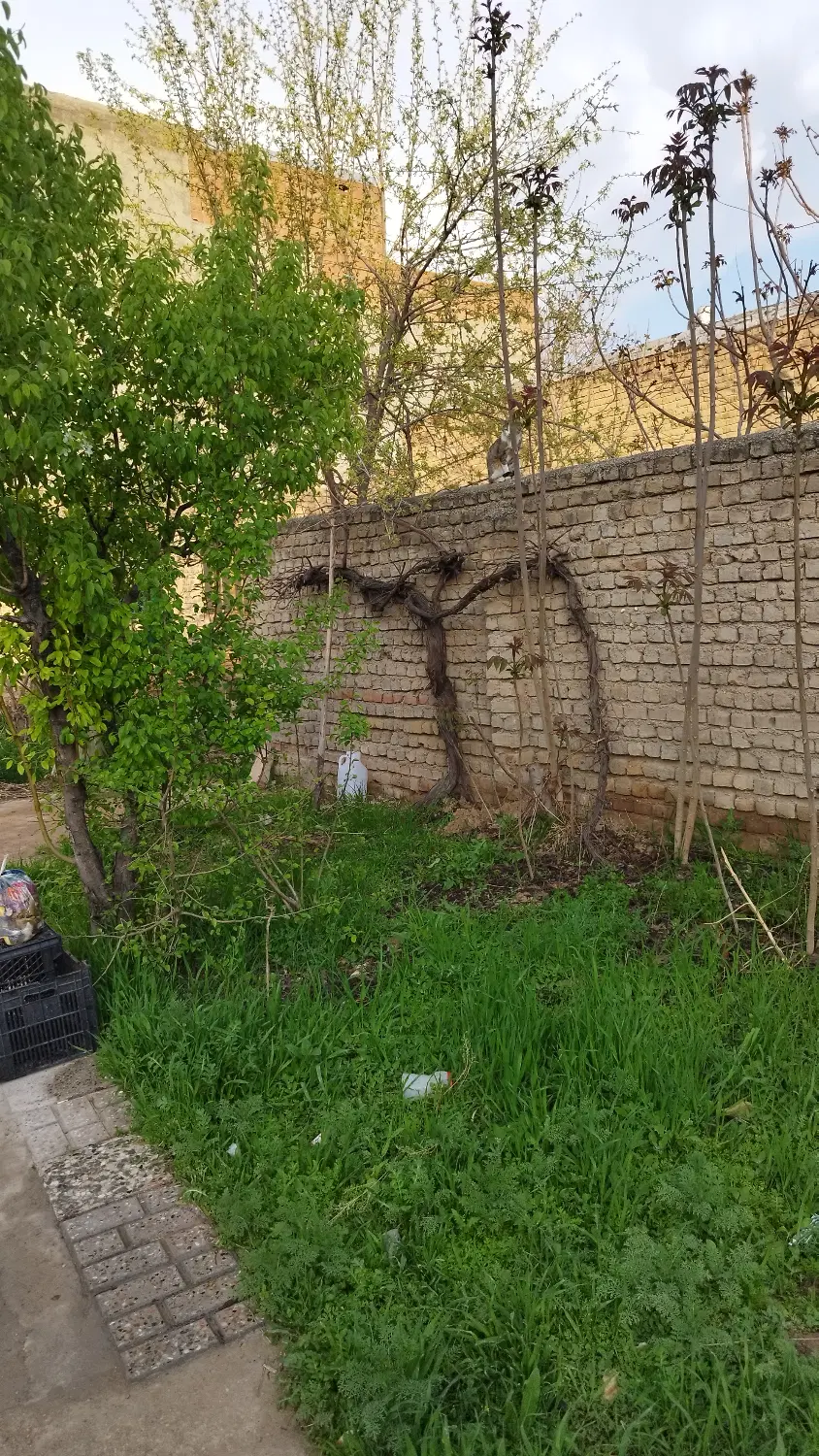 زمین ۱۴۳ متری آشخانه