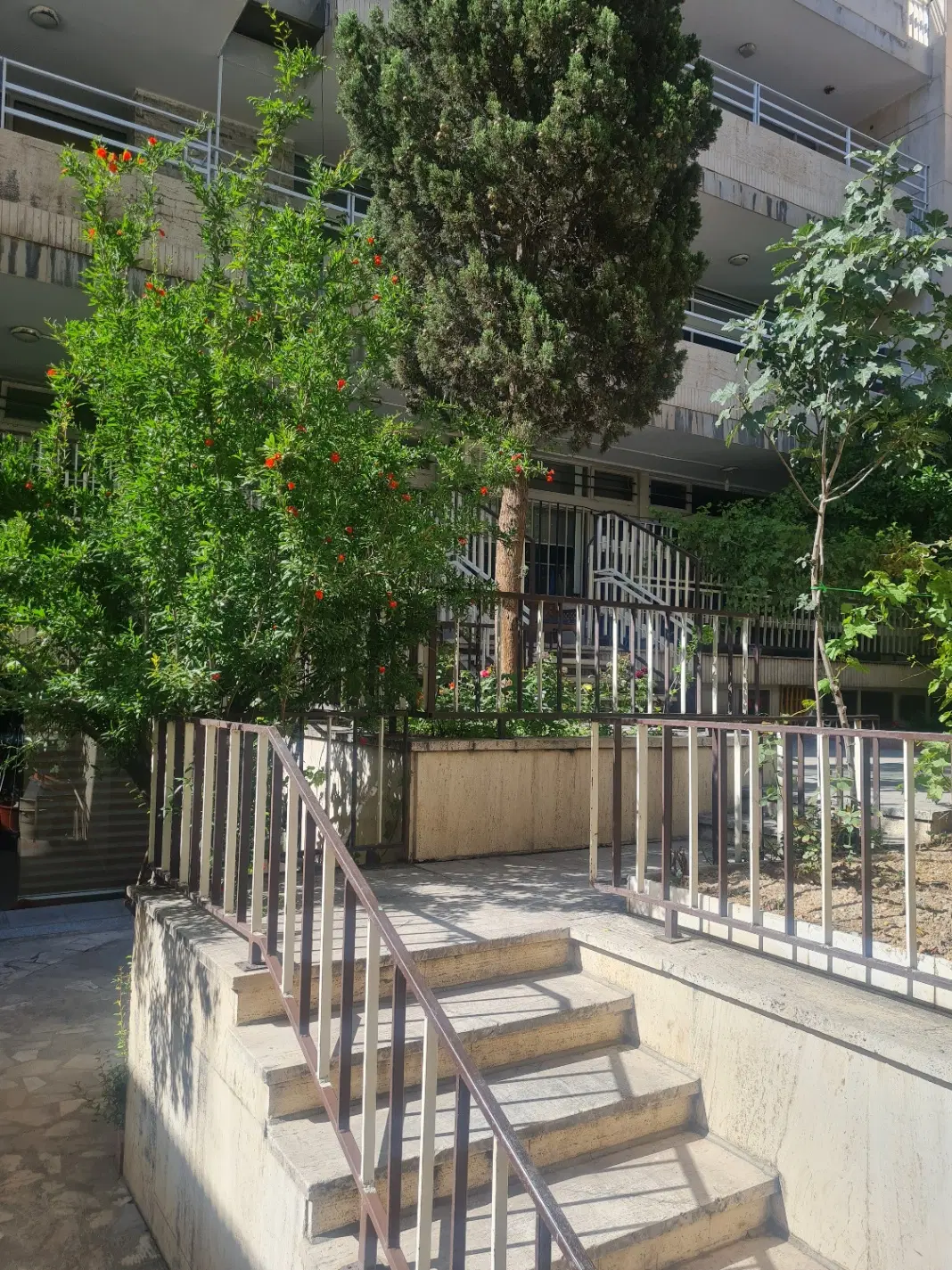 پانسیون دخترانه با اجاره مناسب در میدان ولیعصر