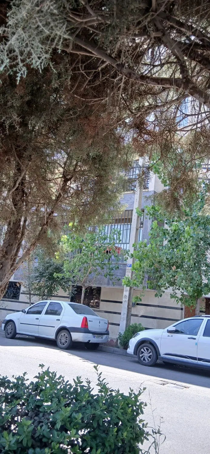 ۶۵ متر آپارتمان پونک امام رضا