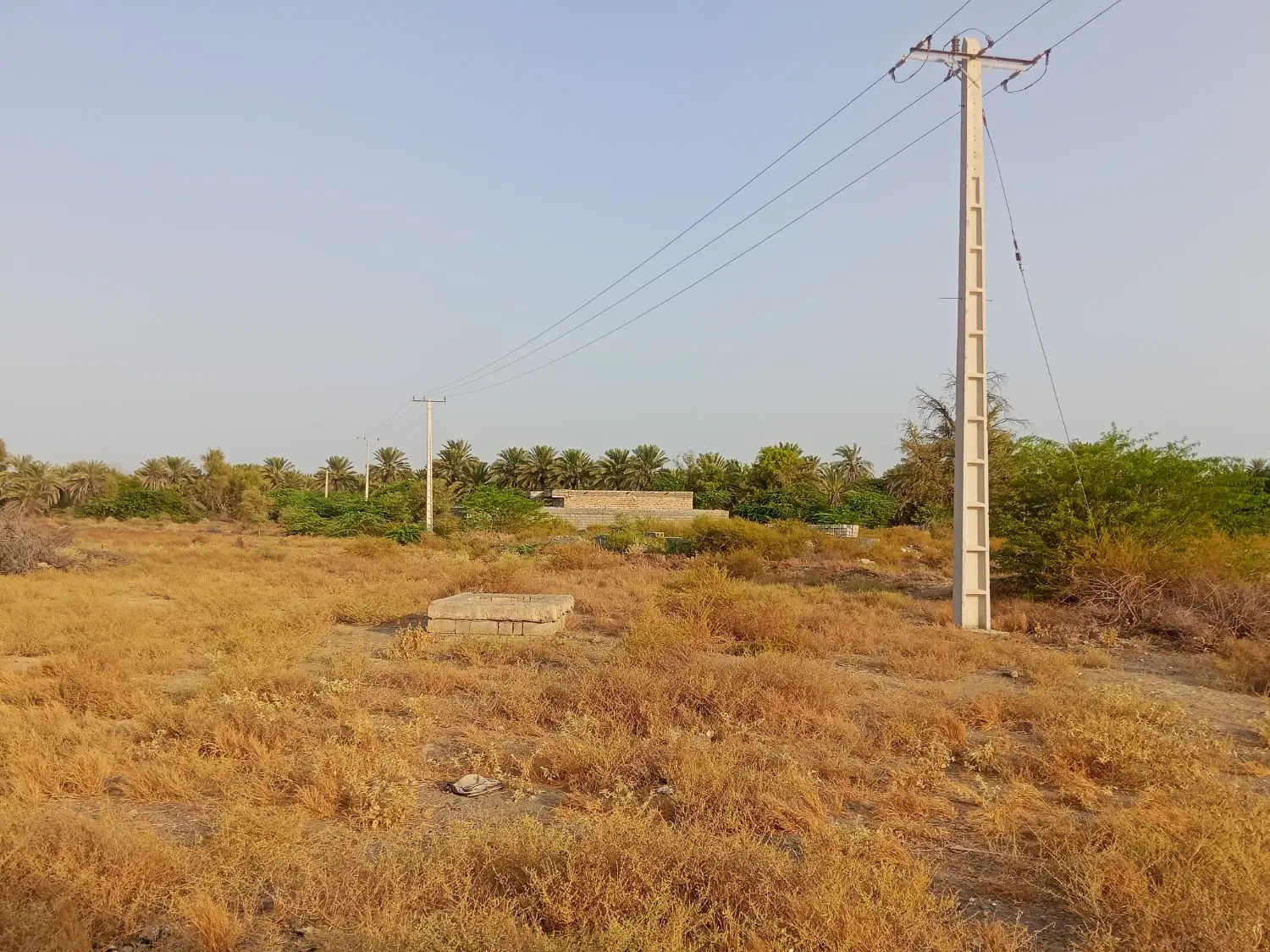 زمین روستای مسکونی  دهوسطی قیمت توافقی