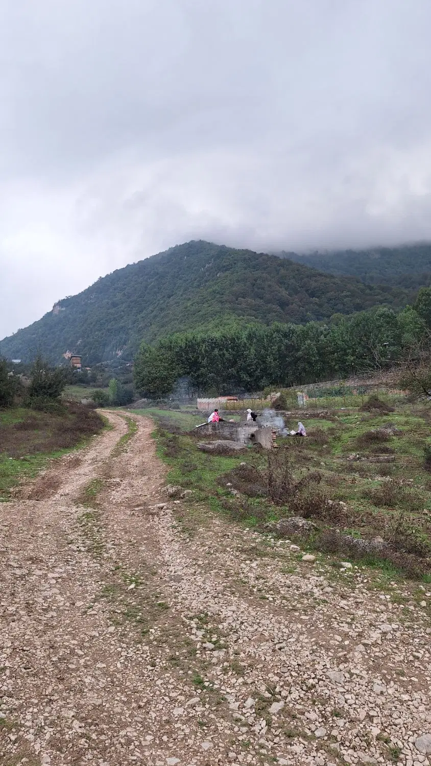 زمین مسکونی