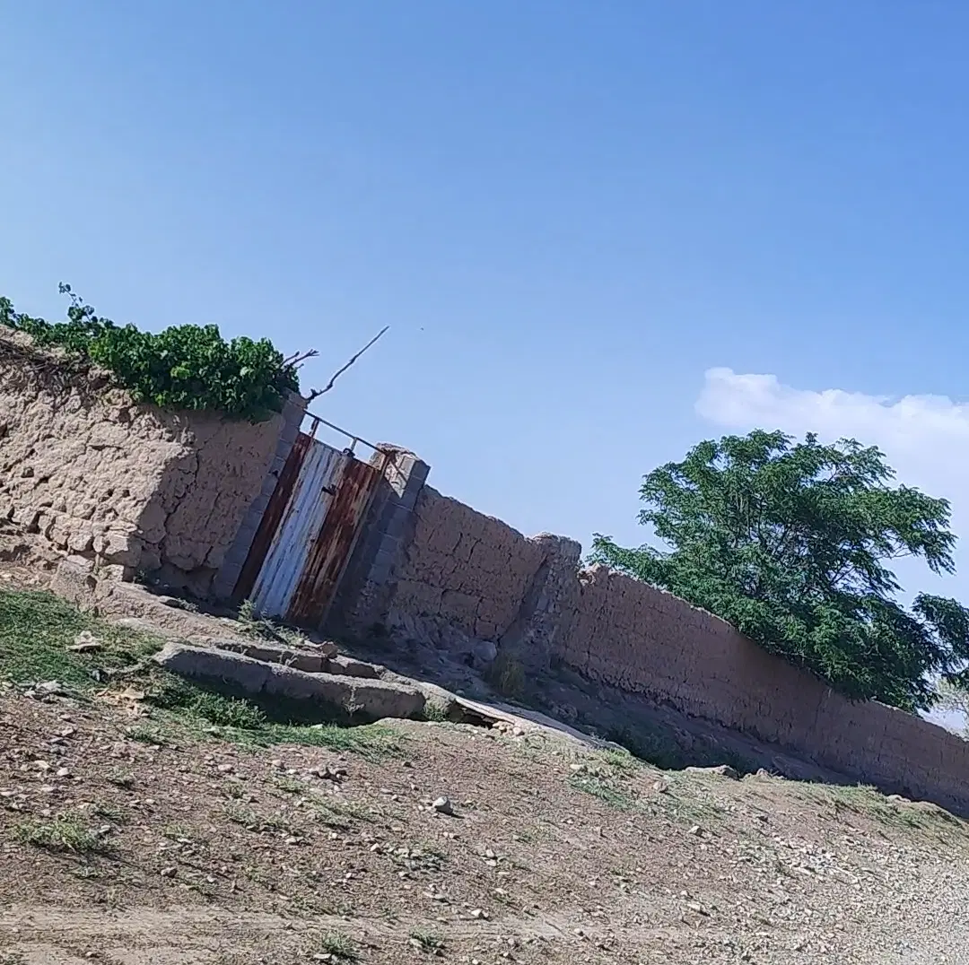 زمین گلزار ۲۰۰۰ متر چهار دیواری گلی