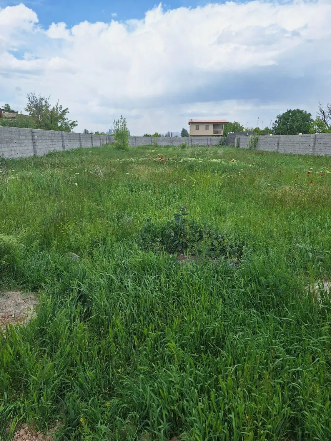 زمین دارای برق جاده سنتو