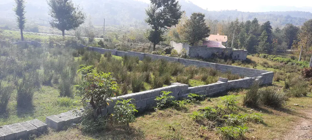 زمین ۲۵۰ متری