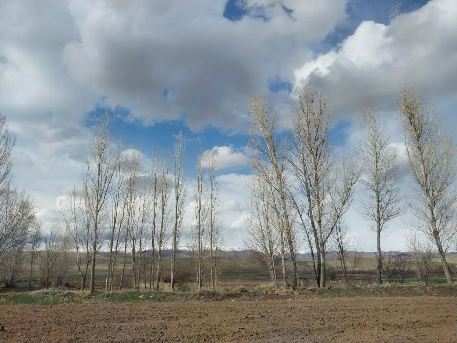 فروش زمین مسکونی (صالحیه)