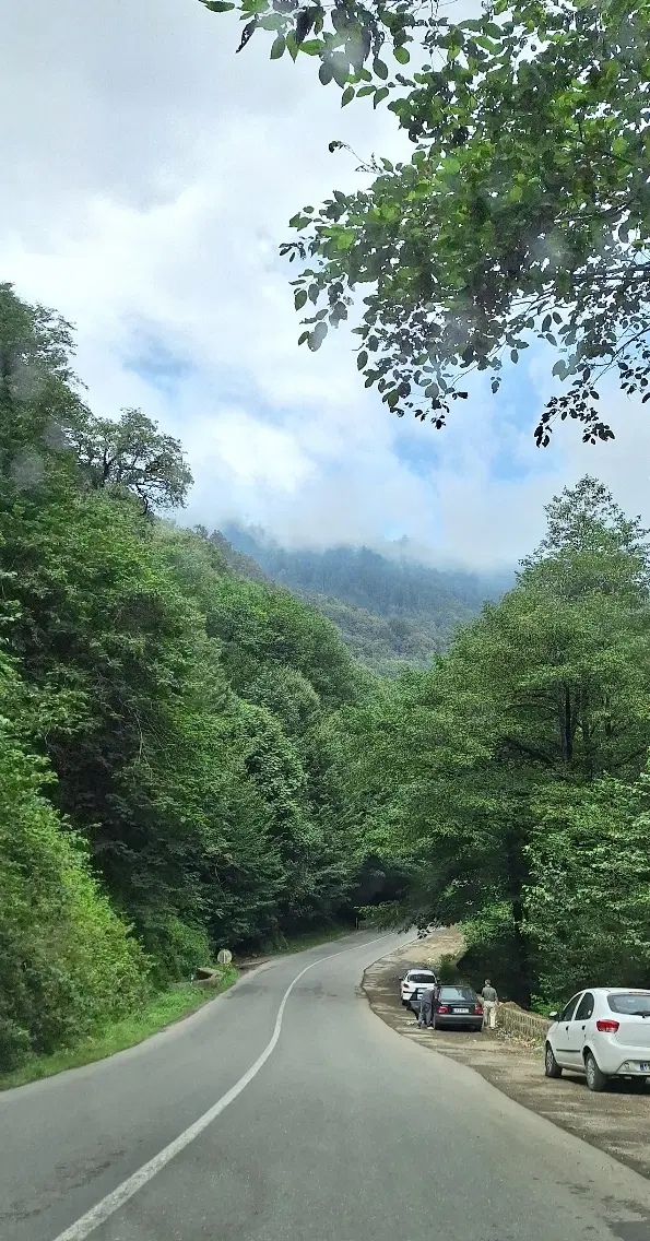 زمین مسکونی گیلان