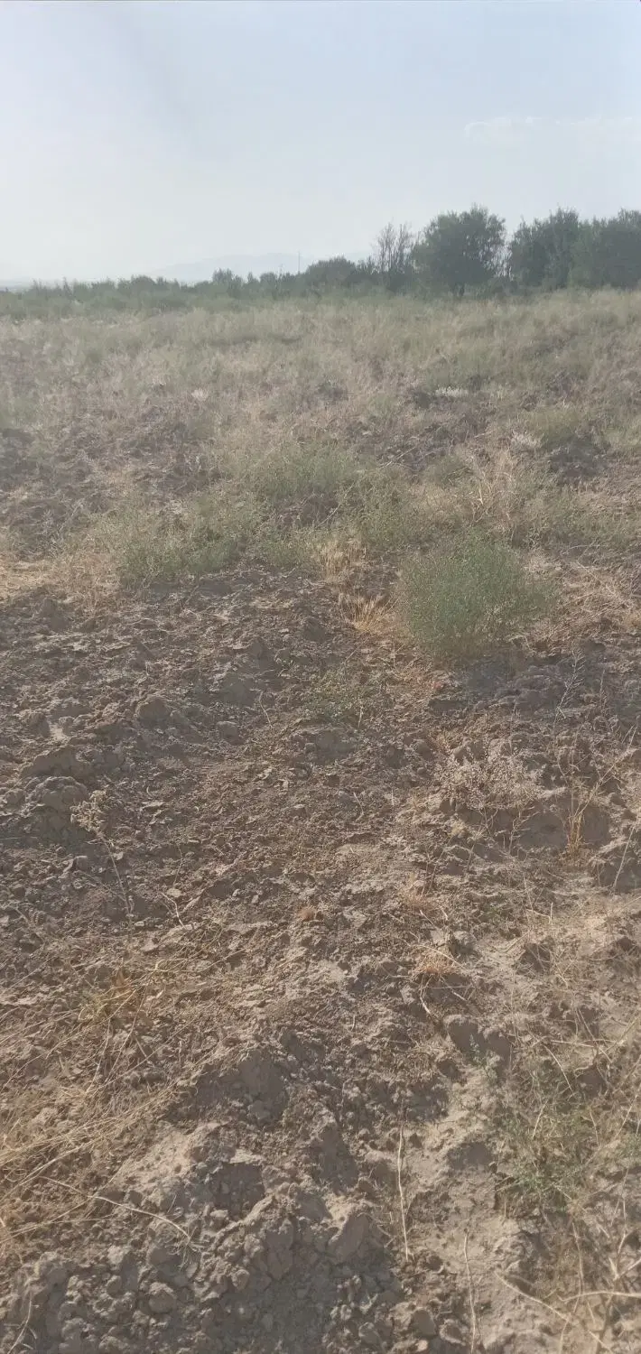 زمین باغی در شیرامین