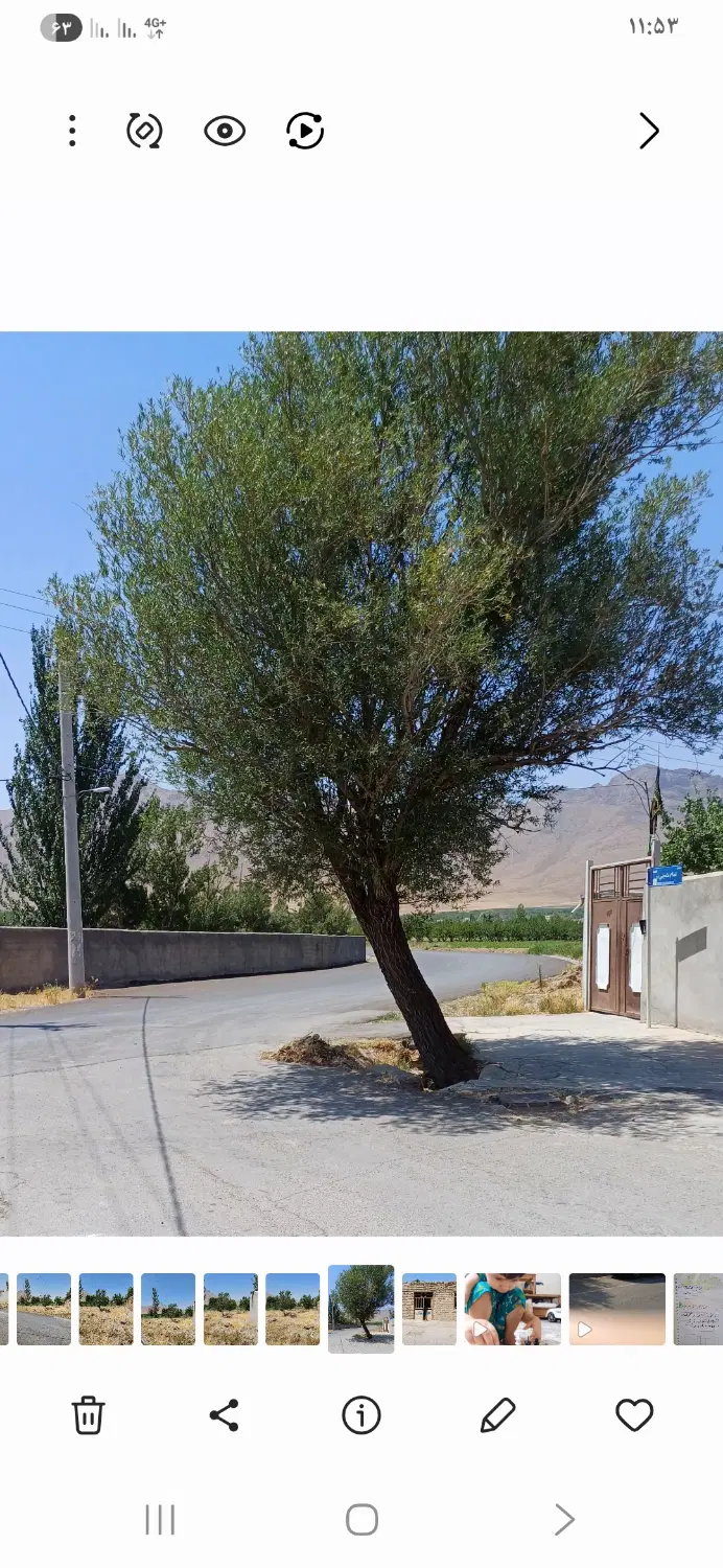 خانه قدیمی روستای مانیزان
