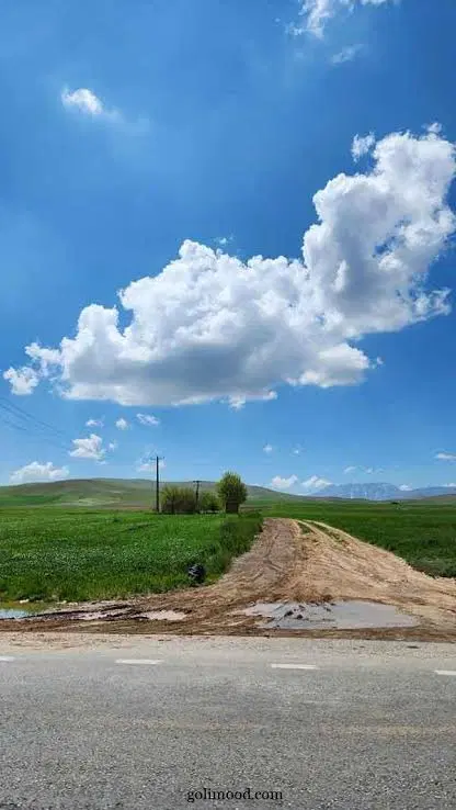 زمین کشاورزی