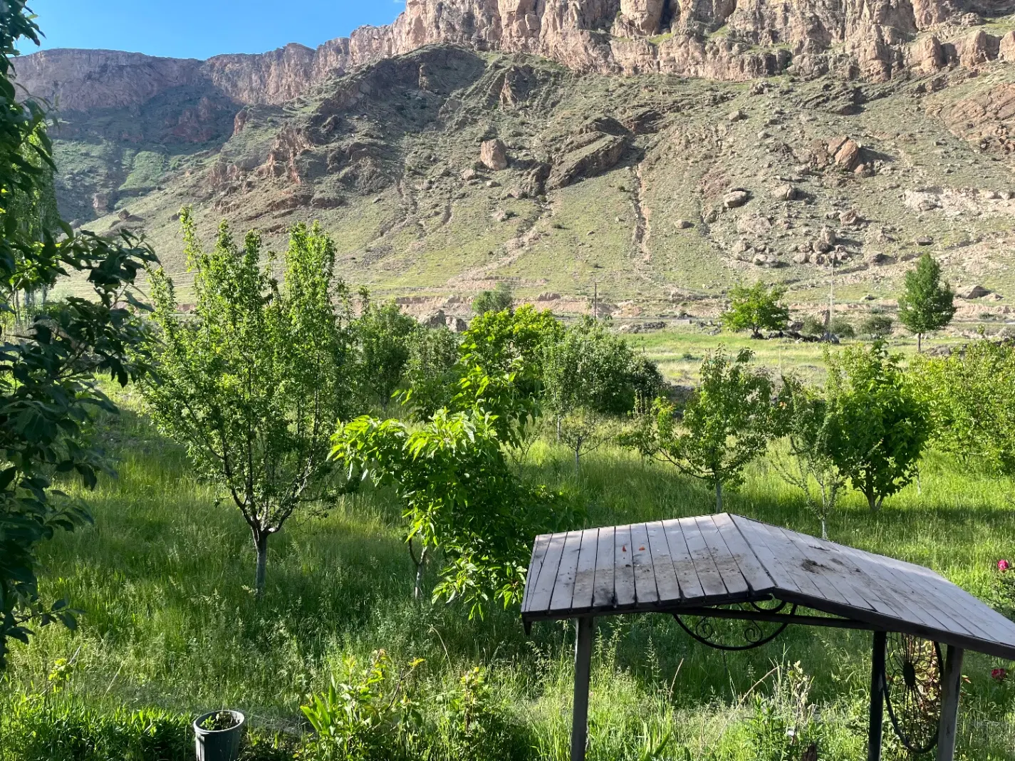 باغ در هندور
