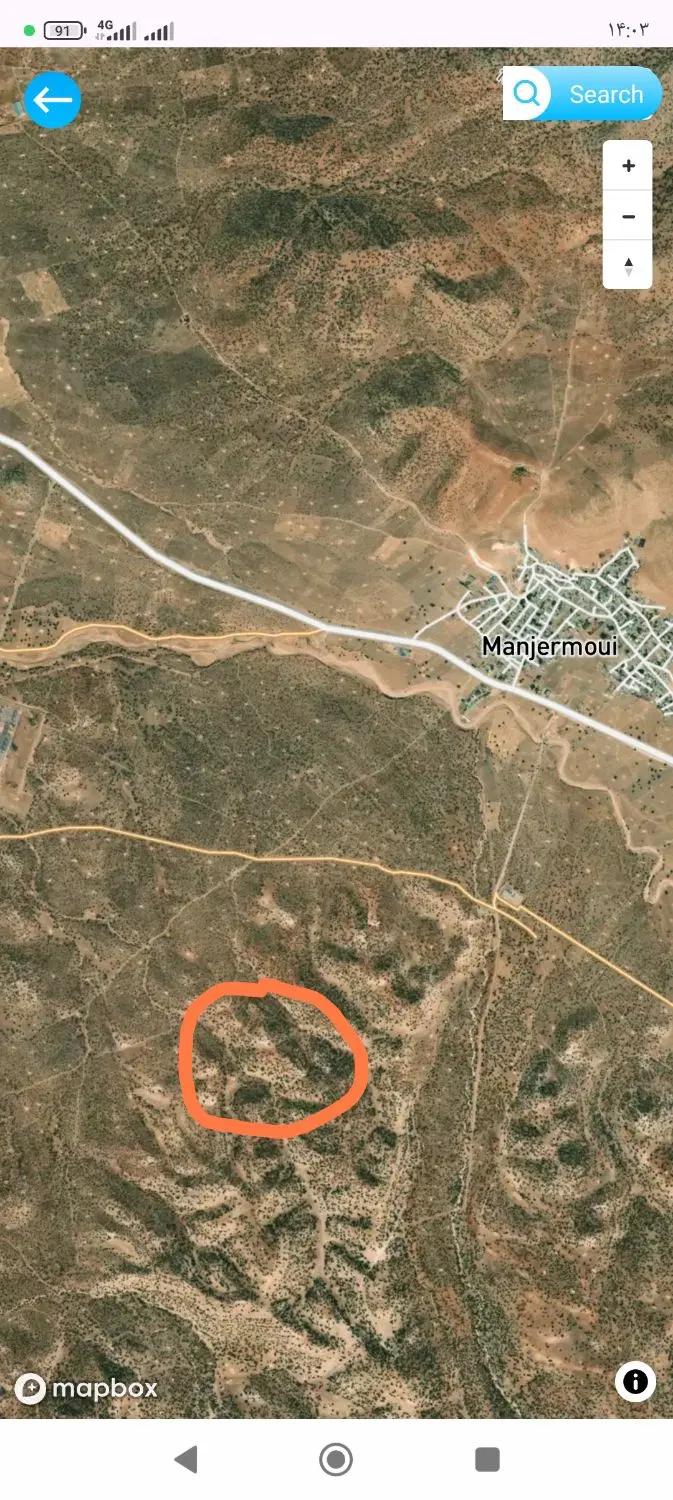 زمین کشاورزی دیم