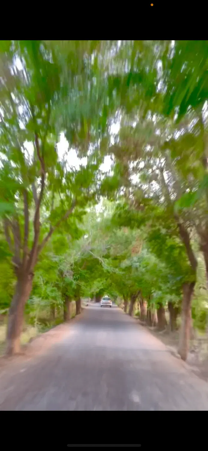 اصفهانک