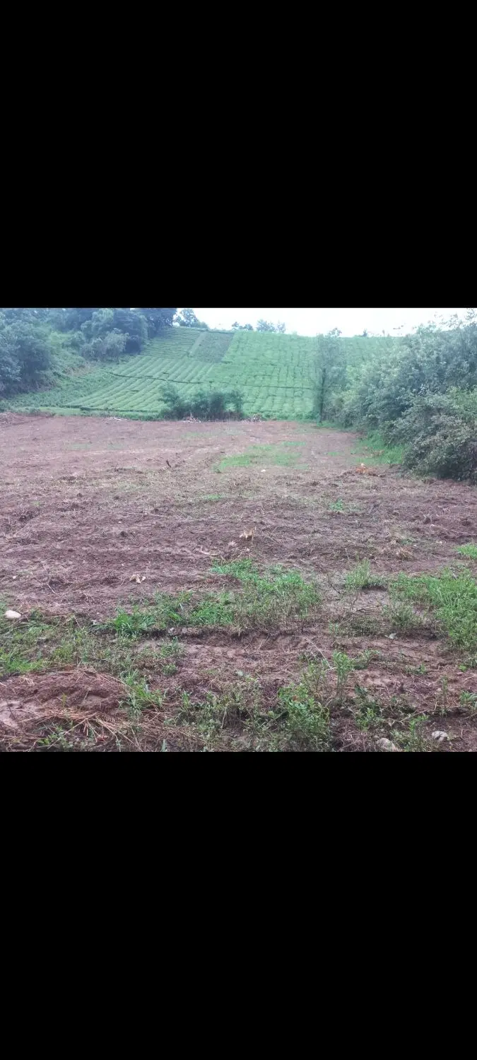 ۳هزارمتر کلنگی پای کوه قلعه رودخان