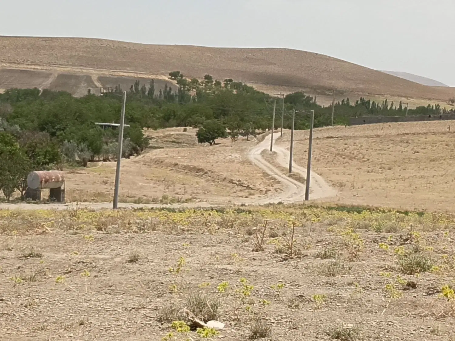 معاوضه زمین با خانه و مغازه