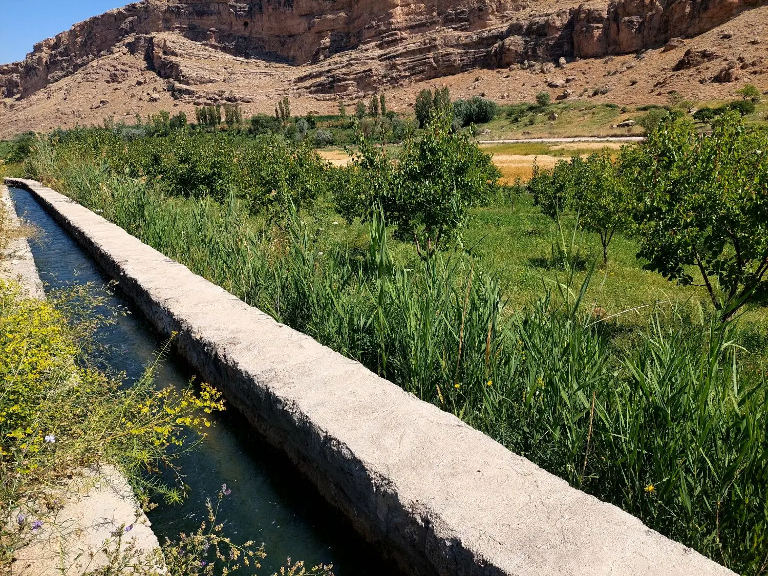 فروش باغ