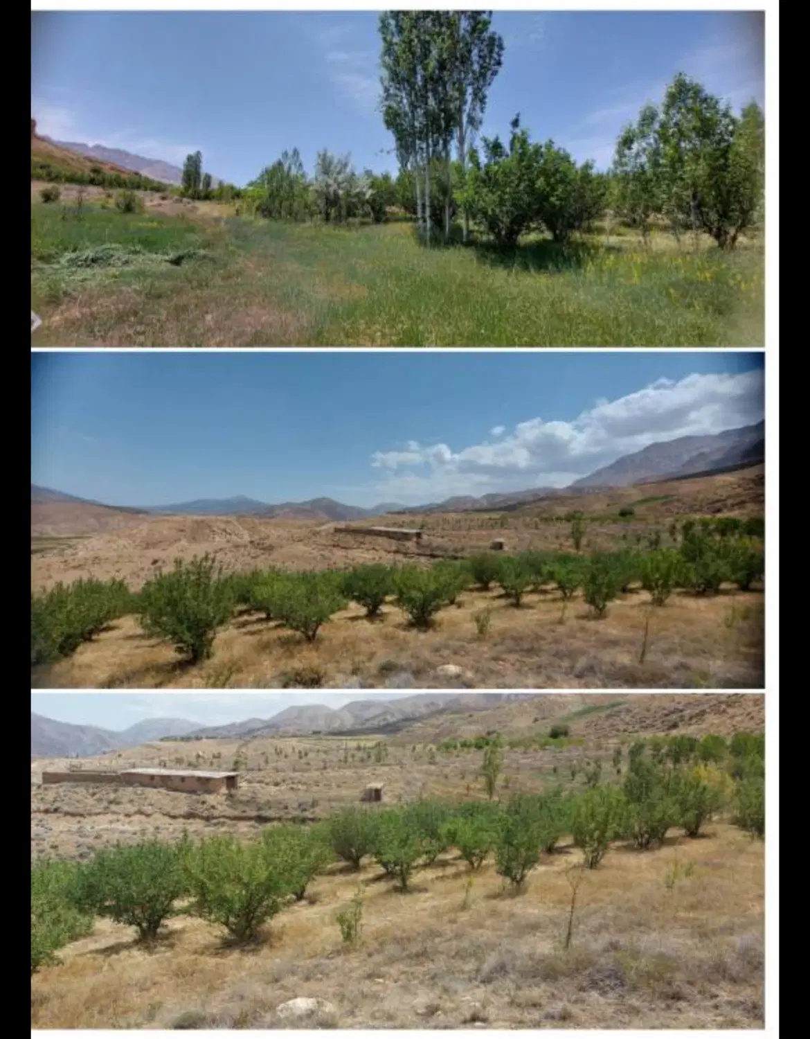۵ هکتار باغ ویلایی شاهکوه، قیمت استثنایی